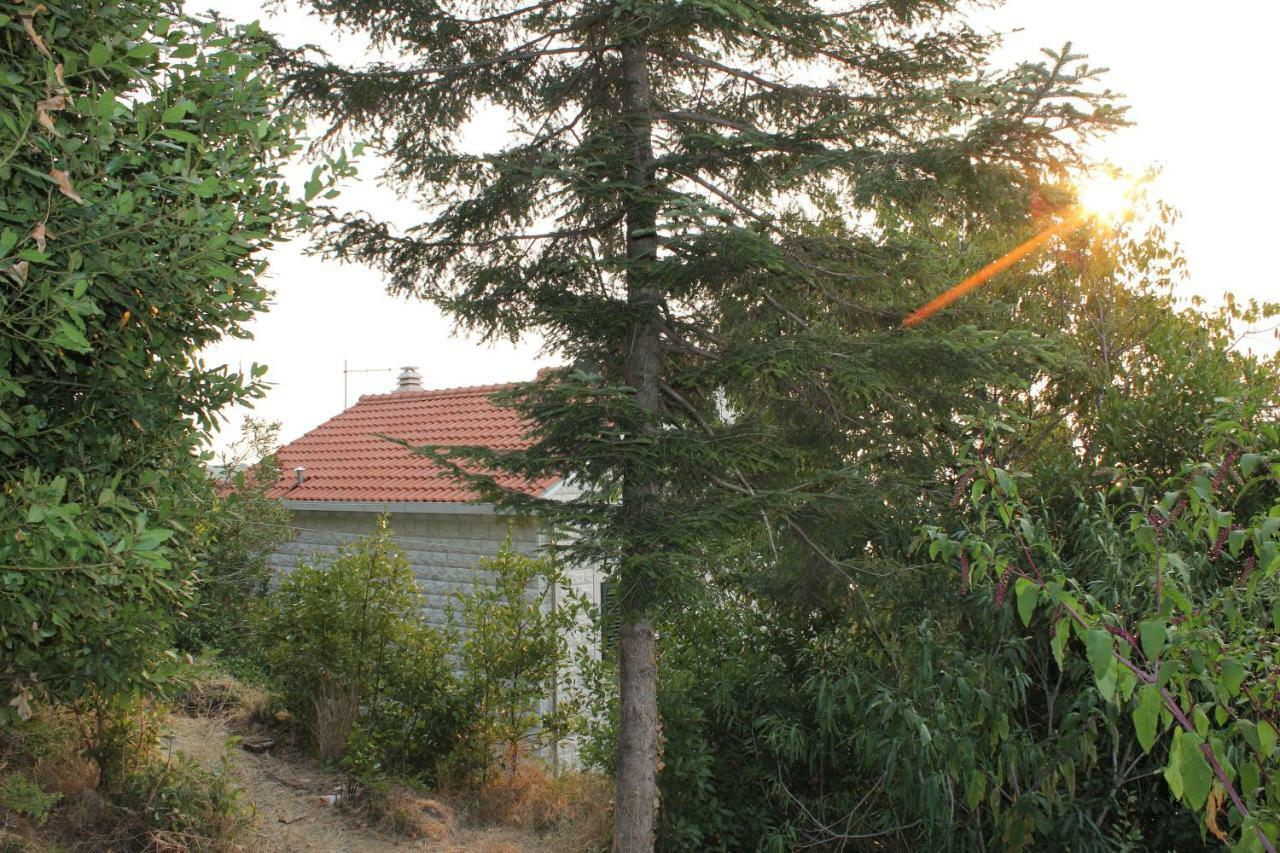 I Sassi Bianchi - East Villa Cavtat Exterior foto